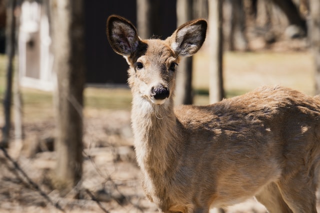 Photo by Kelly Kiernan on Unsplash